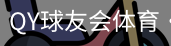 球友会QY
